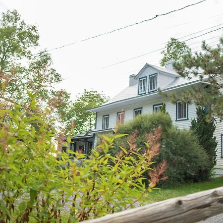 فندق Le Triangle De L'Ile Saint-Laurent-de-l'ile d'Orleans المظهر الخارجي الصورة